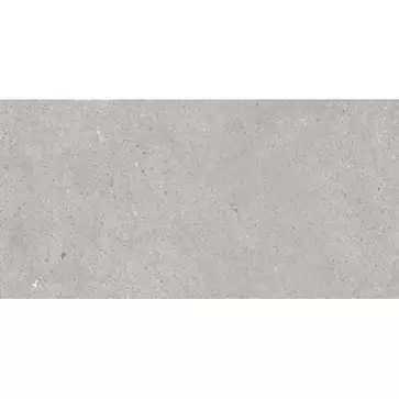 Elio Grey Matt 60 x 120 Rectified