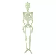 Σκελετός Διακοσμητικός "Glow in the Dark" Halloween 90cm