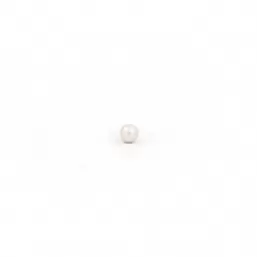 Σκουλαρίκι Τρυπήματος- Πέρλα 3mm