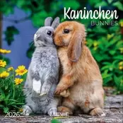 Ημερολόγιο Τοίχου Korsch Verlag 2026 Kaninchen