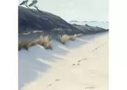 Bay Shadows