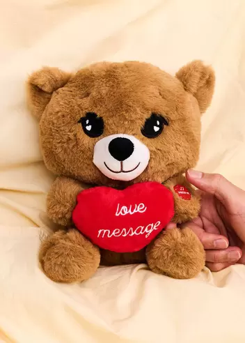 Plush toy - Teddy bear with heart and voice recorder