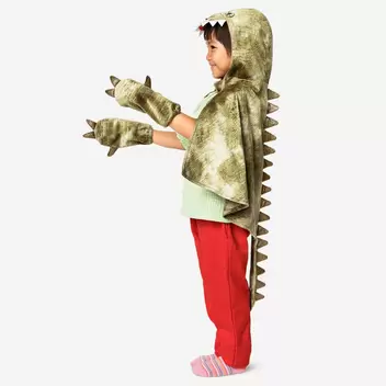 Dinosaur costume - 4 to 8 years