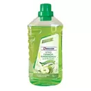 ECONOMY Υγρό Γενικού Καθαρισμού Πράσινο Μήλο 1lt