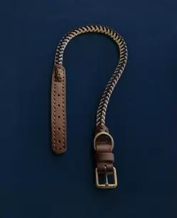 ΠΕΡΙΛΑΙΜΙΟ ΣΧΟΙΝΙ ΧΡΩΜΑ ΣΚΥΛΟΙ