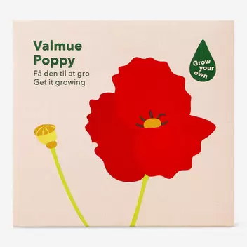 Grow kit - Poppy