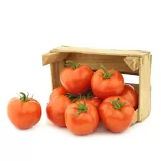 Τομάτες Ελληνικές Ποιότητα Α΄ Τιμή Κιλού