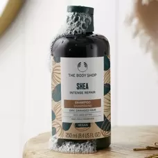 Intense Repair Shampoo