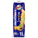Amita Φυσικός Χυμός 9 Φρούτων Motion 1lt