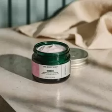 Moisture Day Cream