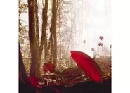 Umbrella