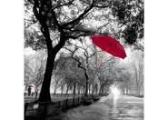 Red Umbrella