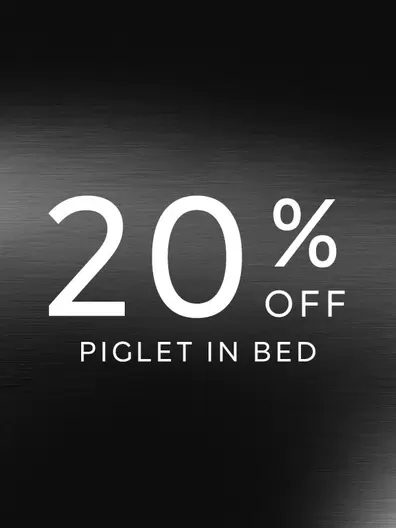 Piglet in Bed