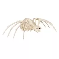 Αληθοφανής Σκελετός Αράχνης Halloween 37cm