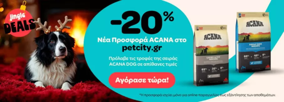 Κατάλογος Pet City σε Κατερίνη | Pet City προσφορές | 2025-12-24T00:00:00.000Z - 2026-01-07T00:00:00.000Z
