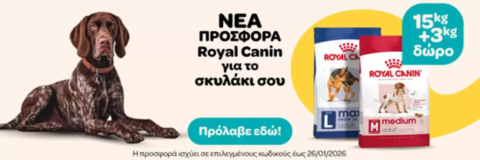 Κατάλογος Pet City σε Γλυφάδα | Pet City προσφορές | 2026-01-13T00:00:00.000Z - 2026-01-26T00:00:00.000Z
