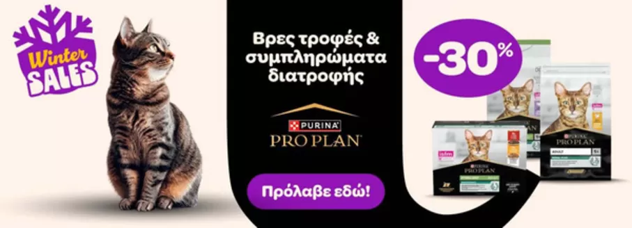 Κατάλογος Pet City σε Θεσσαλονίκη | Pet City προσφορές | 2026-02-01T00:00:00.000Z - 2026-02-28T00:00:00.000Z