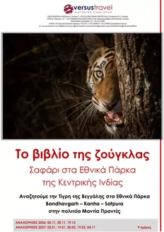 Κατάλογος Versus Travel | Νέες προσφορές για ανακάλυψη | 2026-11-05T00:00:00.000Z - 2027-11-04T00:00:00.000Z