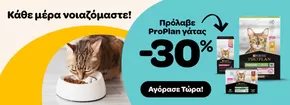 Κατάλογος Pet City σε Ηράκλειο | Εκπτώσεις και προωθητικές ενέργειες | 2025-07-25T00:00:00.000Z - 2025-08-08T00:00:00.000Z