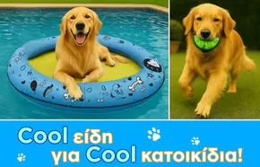 Κατάλογος Jumbo σε Φάρσαλα | Αποκλειστικές προσφορές και ευκαιρίες | 2025-08-05T00:00:00.000Z - 2025-08-19T00:00:00.000Z