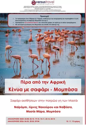 Κατάλογος Versus Travel σε Πειραιάς | Κένυα με σαφάρι στο Μασάι Μάρα και στο Νακούρου | 2025-08-22T00:00:00.000Z - 2026-09-04T00:00:00.000Z