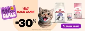 Κατάλογος Pet City | Μεγάλες εκπτώσεις σε επιλεγμένα προϊόντα | 2025-09-05T00:00:00.000Z - 2025-09-19T00:00:00.000Z