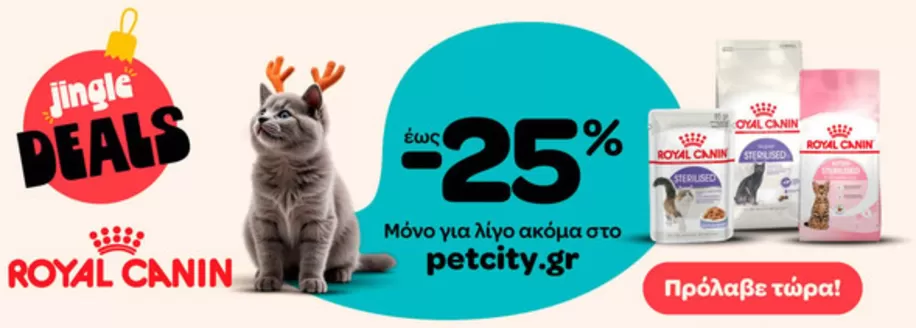 Κατάλογος Pet City | Pet City προσφορές | 2025-12-03T00:00:00.000Z - 2025-12-17T00:00:00.000Z