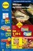 Κατάλογος Lidl | Φυλλάδιο Lidl - Food Nonfood | 2026-02-05T00:00:00.000Z - 2026-02-11T00:00:00.000Z