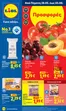 Κατάλογος Lidl σε Γέρακας | Φυλλάδιο Lidl - Food Nonfood | 2026-05-28T00:00:00.000Z - 2026-06-03T00:00:00.000Z