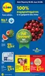 Κατάλογος Lidl σε Κόρινθος | Φυλλάδιο Lidl - Food Nonfood | 2026-06-18T00:00:00.000Z - 2026-06-24T00:00:00.000Z