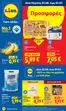 Κατάλογος Lidl σε Νότιο Πήλιο | Φυλλάδιο Lidl - Food Nonfood | 2026-06-25T00:00:00.000Z - 2026-07-01T00:00:00.000Z