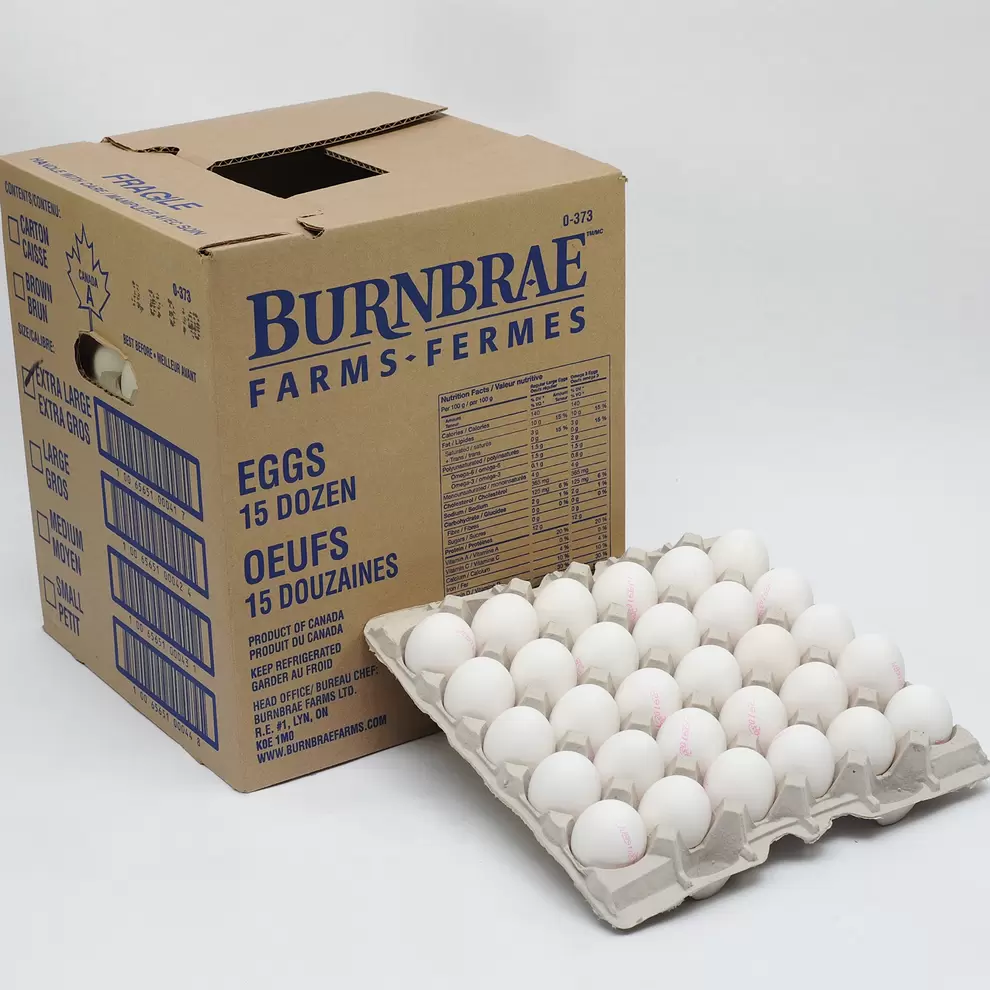 Extra Large White Egg 12 x 15