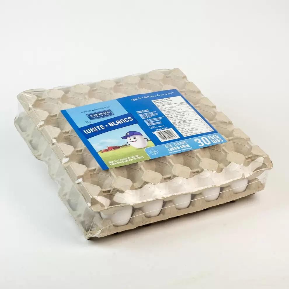Large White Egg x30