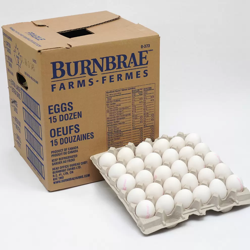 Large White Egg 15 x 12