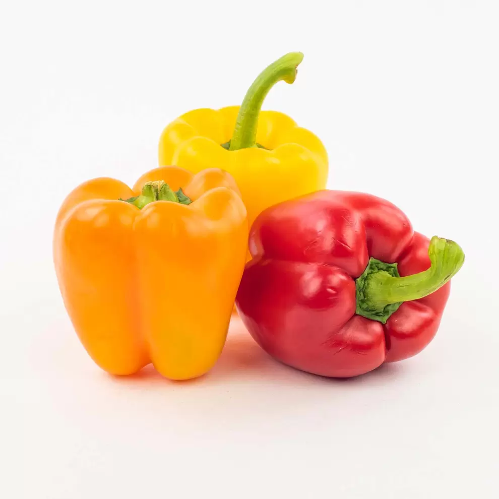 Color mix XL bell peppers