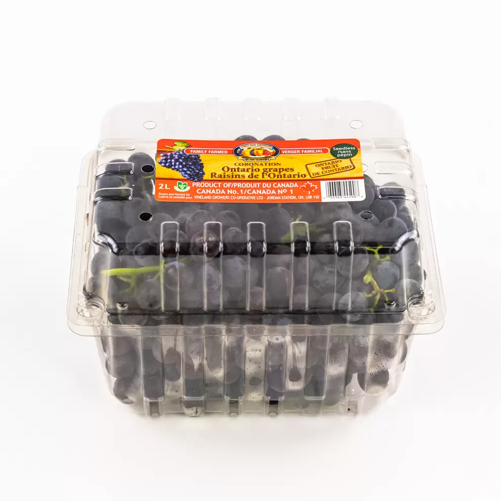 Blue Grape Basket 2 L