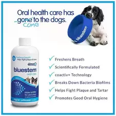 Bluestem Oral Care Original Flavor Water Additive for Cats & Dogs
