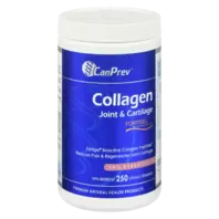 Collagen Joint & Cartilage Powder