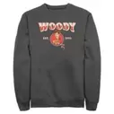 Woody Pullover Sweatshirt for Adults – Toy Story
