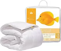 Canadian Down & Feather Co. - All Season Weight 650 Loft White Goose Down Duvet Twin Size - 360 TC Shell 100% Cotton - Filled in Canada
