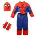 Spider-Man Costume with Lights and Sound for Kids