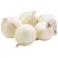 Bulk White Onions