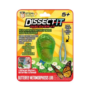 Dissect It - Discover It - Butterfly Metamorphosis Lab