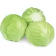 Green Cabbage