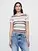 Sheer Rib Sweater T-Shirt