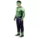 Hulk Costume for Adults by Jazwares