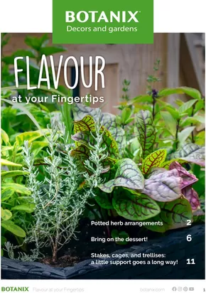 Botanix catalogue in Saint-Césaire | Flavour at your Fingertips | 2025-09-02T00:00:00.000Z - 2025-09-16T00:00:00.000Z