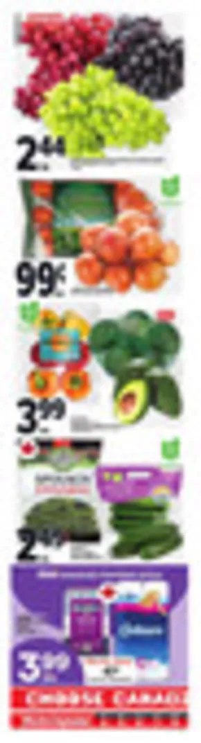 Metro catalogue in Matagami | Our best bargains | 2025-09-04T00:00:00.000Z - 2025-09-10T00:00:00.000Z
