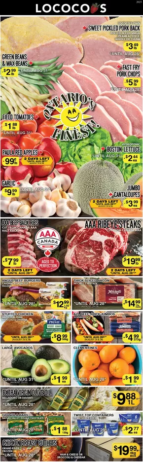 Lococos catalogue in Montréal-Est | Wide range of offers | 2025-09-09T00:00:00.000Z - 2025-09-23T00:00:00.000Z