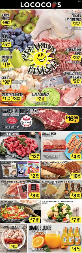 Lococos catalogue in Montreal | Save now with our deals | 2025-09-10T00:00:00.000Z - 2025-09-24T00:00:00.000Z